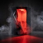 Recover Performance Home Infrared Sauna